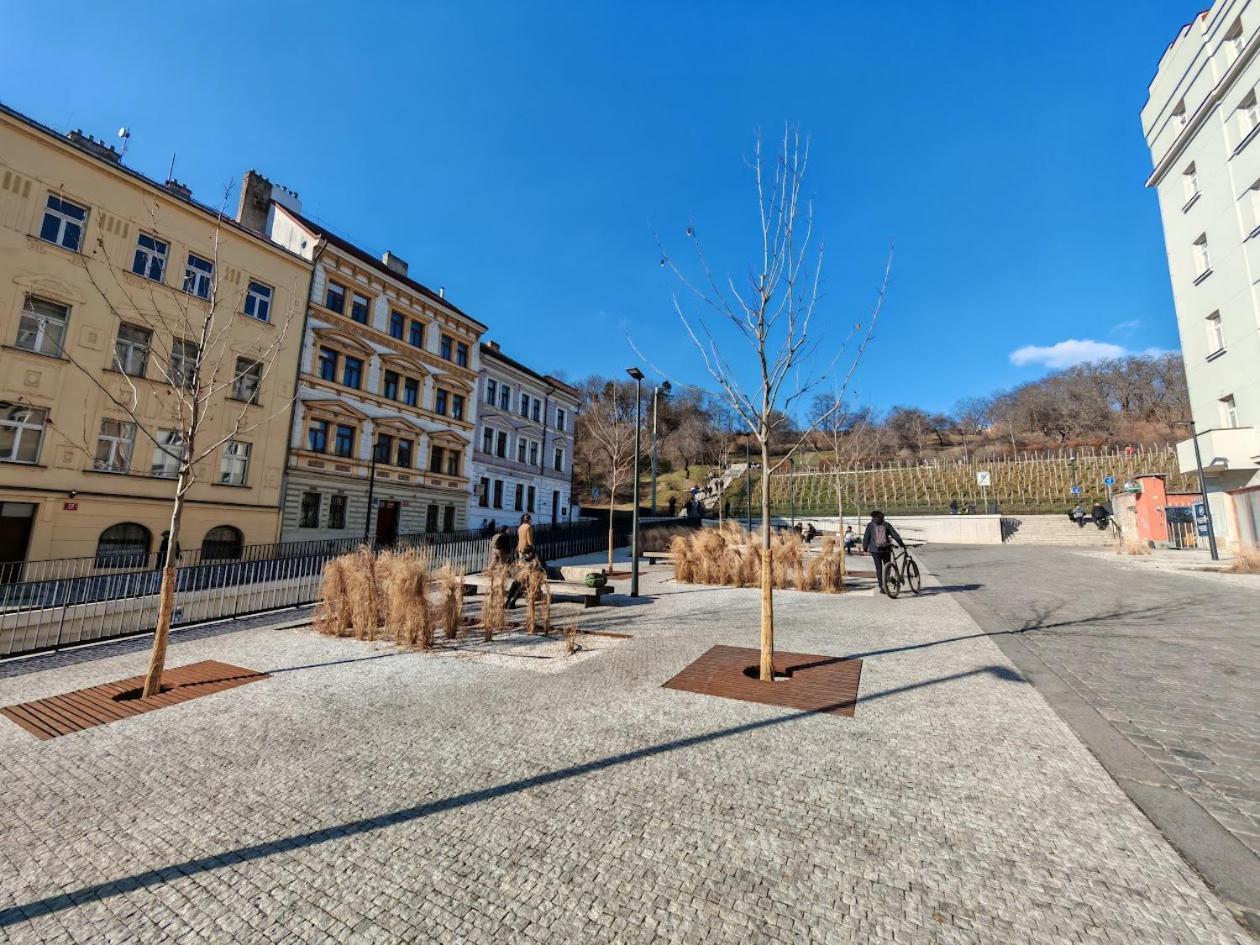 Flat In Zizkov -103- Praha
