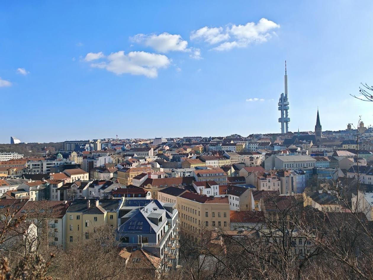 Flat In Zizkov -103- Praha